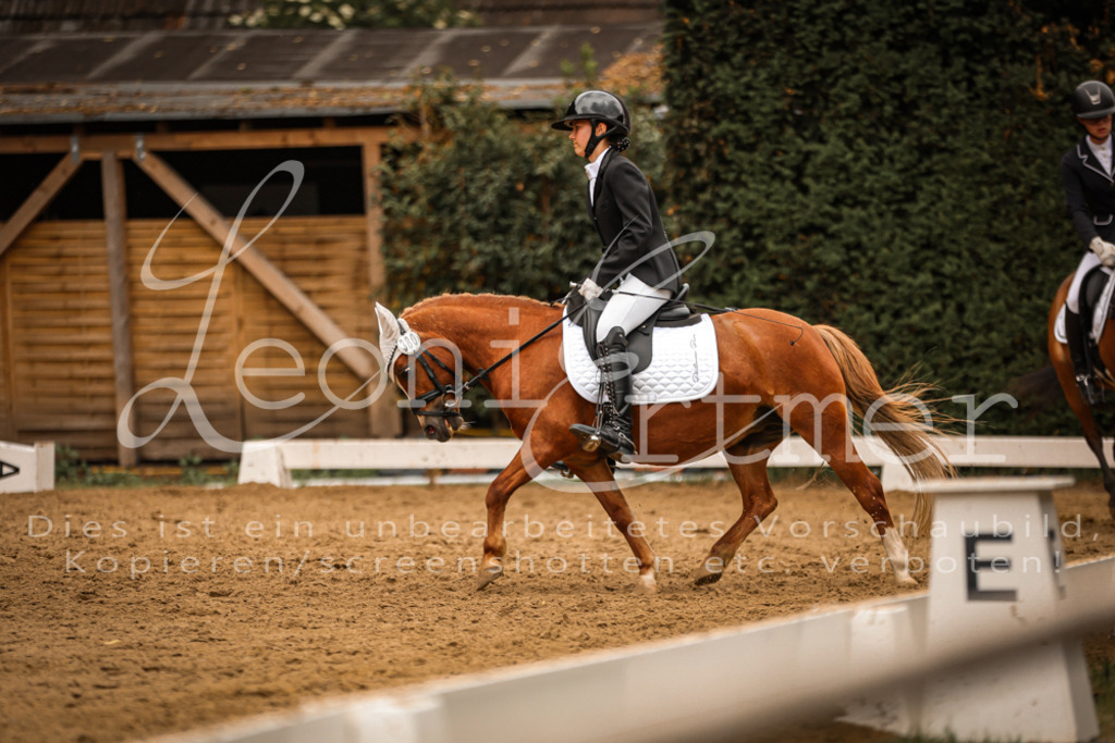 DoDrE00468 | Leoni Ertmer Photography - Realisiert mit Pictrs.com