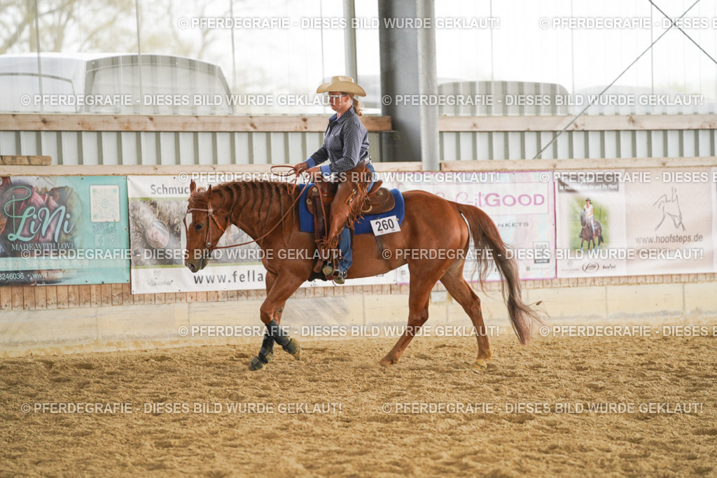 DSC05528 | Pferdegrafie