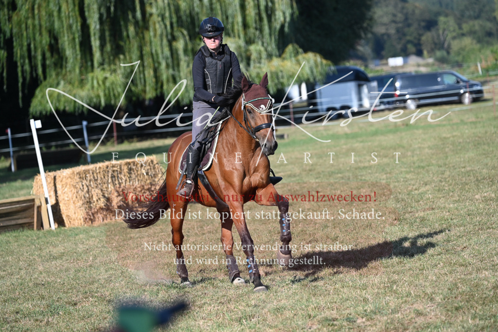 DSC_8980 | Pferde- und Turnierfotografie in Westsachsen. Pferdeportraits, Auftragszeichnungen und intuitive Kunst.