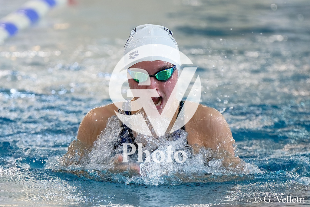 DSC_3673 | Velletri Photo