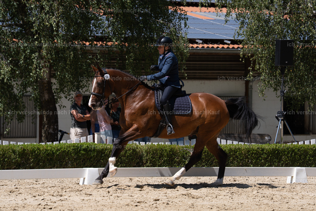 WS_DR_59_sinafilmart_IN02932 | working equitationturnier fotograf videograf stoibphotography marixx film working equitation deutschland reitsport turnierfotografie eventfotografie equestrian events