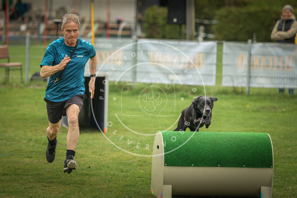 Pfotenfotografie_0L8A1522 | Hundefotografie, Tierfotograf, Pfotenfotografie, Fotoshooting Hund, Hunde Portrait, Hundesport, Hundeportraits, Heideshooting, Hunde, Sportfotograf, Hundefotograf, Turnierhundsport, THS,  - Realisiert mit Pictrs.com