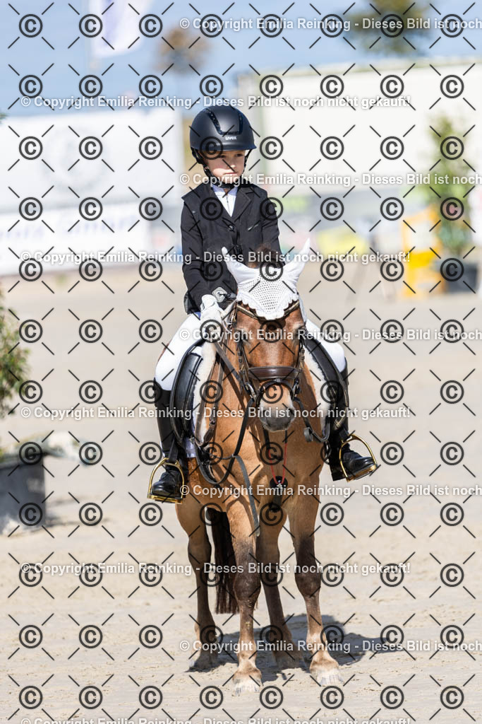 CL5A1981 | Emilia Reinking Fotografie - Realisiert mit Pictrs.com