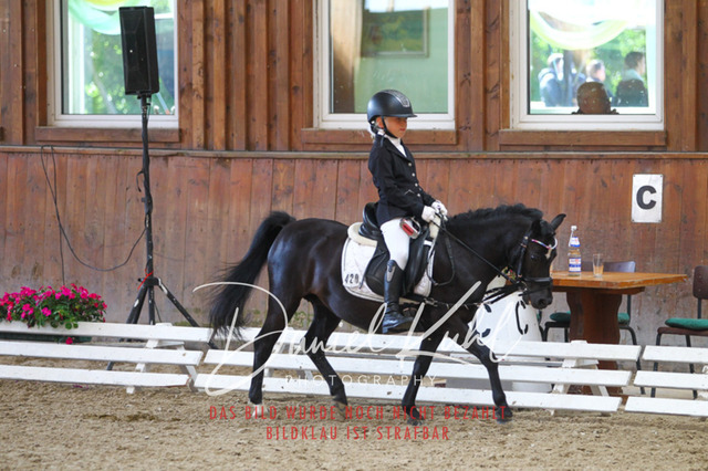 DKP45155 | Turniersportfotografie; Pferdefotografie; Dressurfotografie