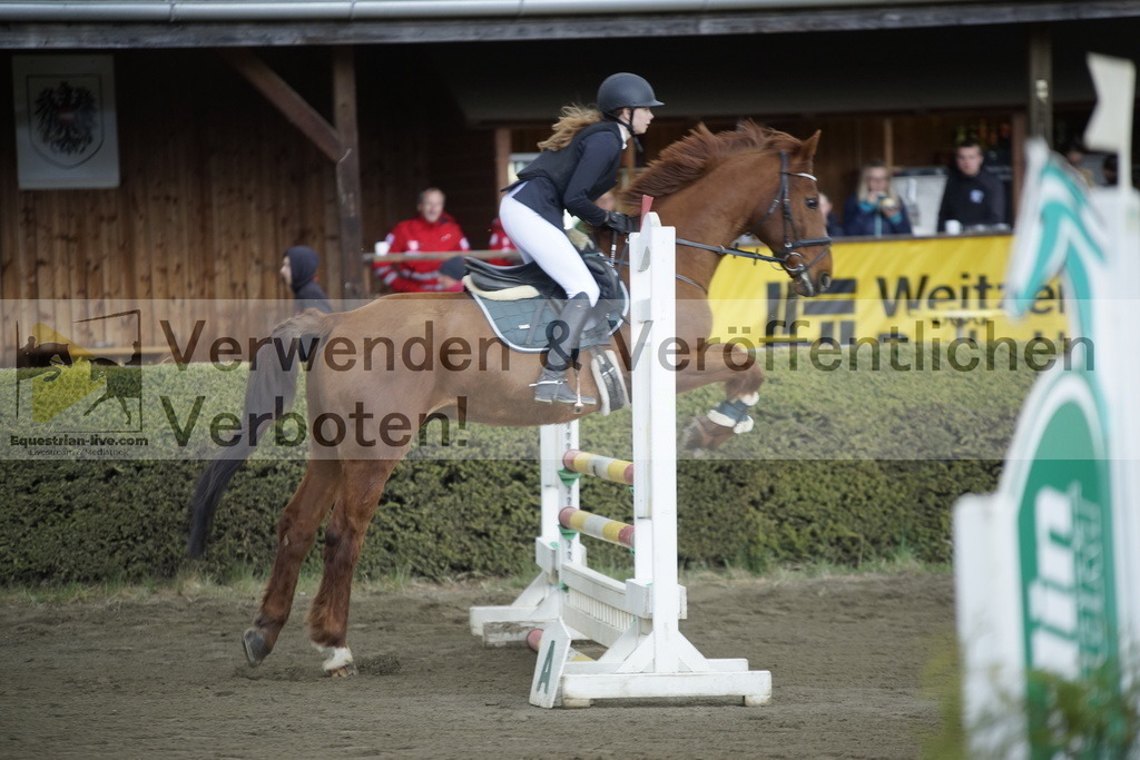 _DSC8439 | equestrian-live-com