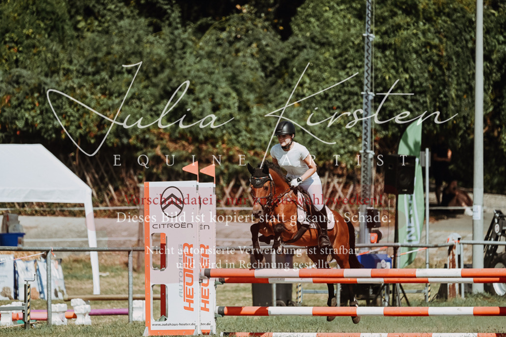 DSC_9956 | Pferde- und Turnierfotografie in Westsachsen. Pferdeportraits, Auftragszeichnungen und intuitive Kunst.