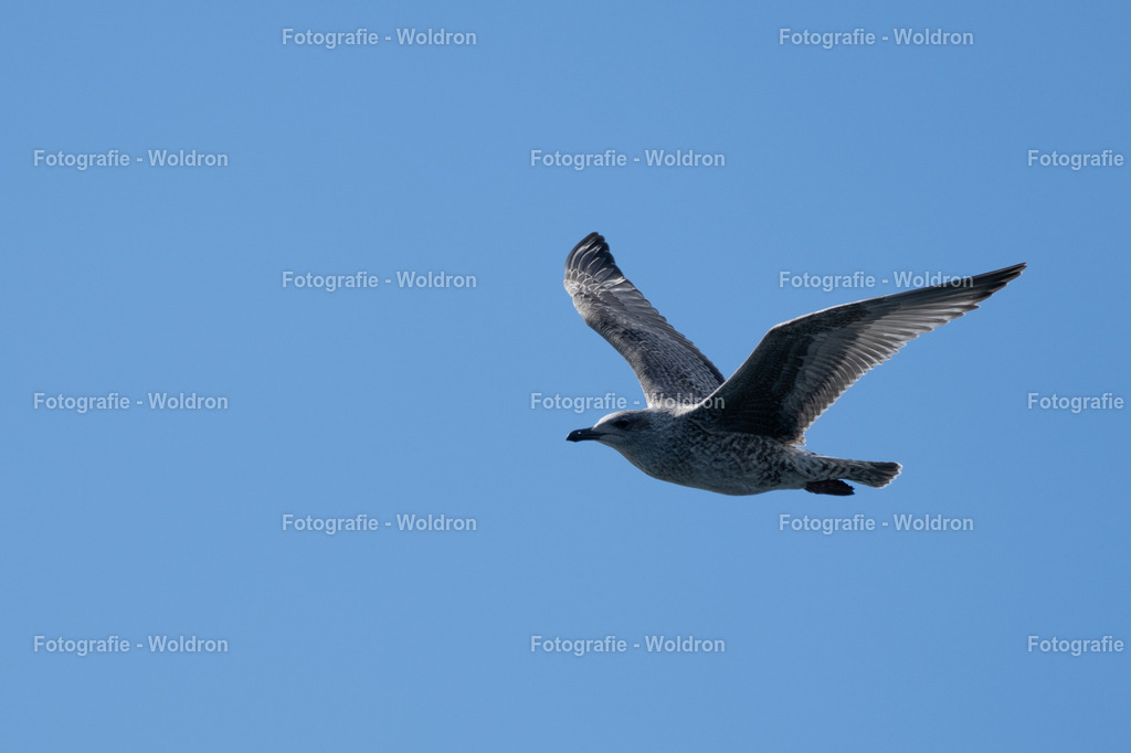 20230815 Isle of Sky - St.Andrews - Dundee-25 | Fotografie Woldron