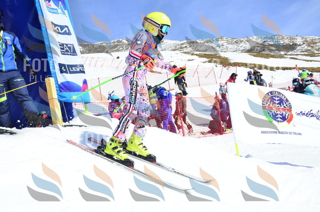 _ELE0894 | holidayphoto