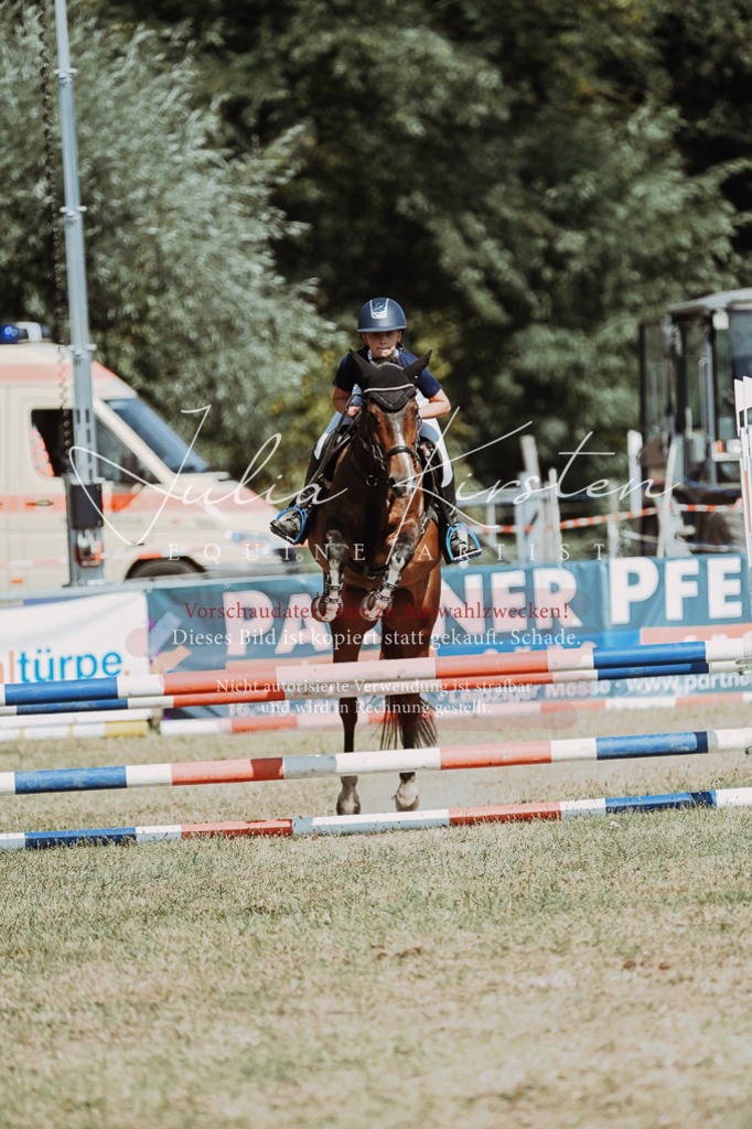 DSC_0061 | Pferde- und Turnierfotografie in Westsachsen. Pferdeportraits, Auftragszeichnungen und intuitive Kunst.