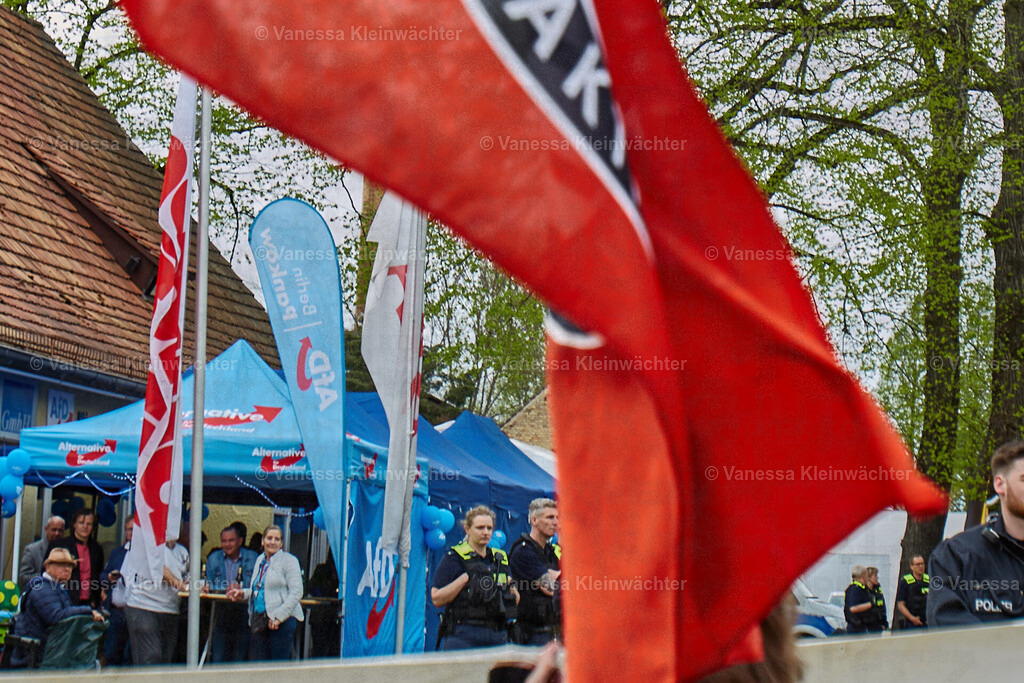 240409_Blankenburg_06 | Vanessa Kleinwächter - Realisiert mit Pictrs.com