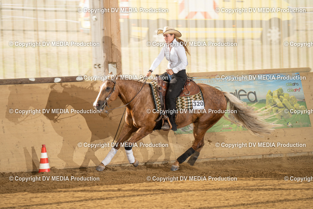 LAU01854 | dv-media-shop - Realisiert mit Pictrs.com