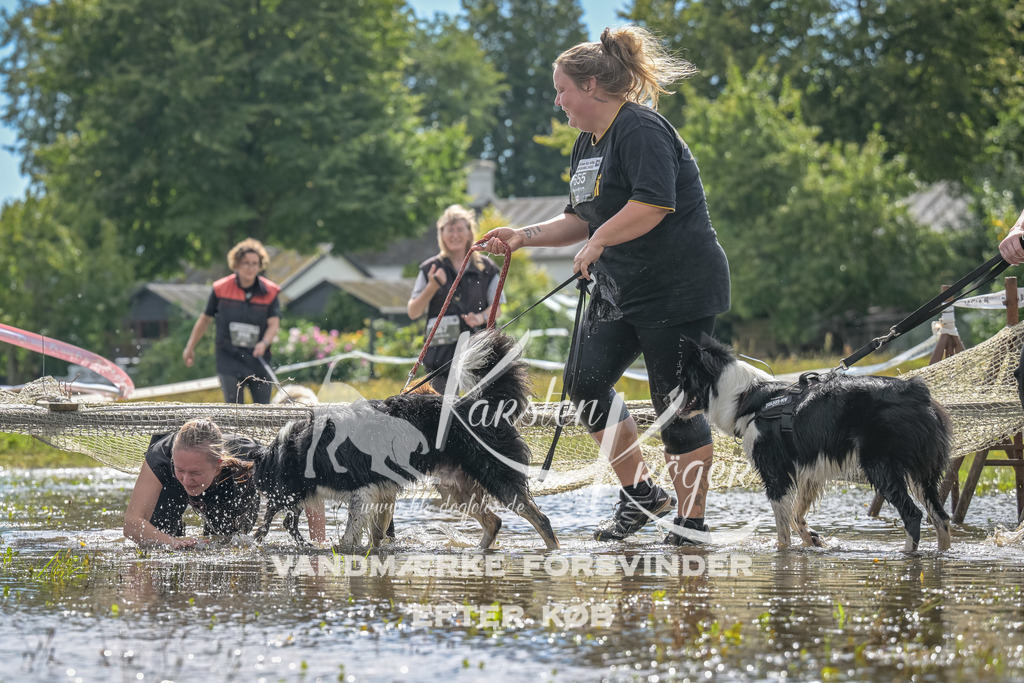 1326_ZZ91134 | kk-dogfotos
