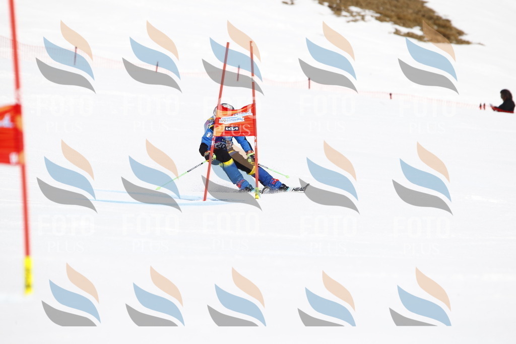 _U3G5334 | holidayphoto