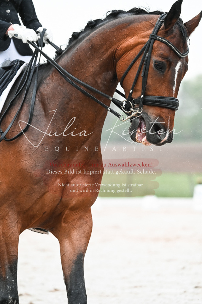 DSC_4565 | Pferde- und Turnierfotografie in Westsachsen. Pferdeportraits, Auftragszeichnungen und intuitive Kunst.