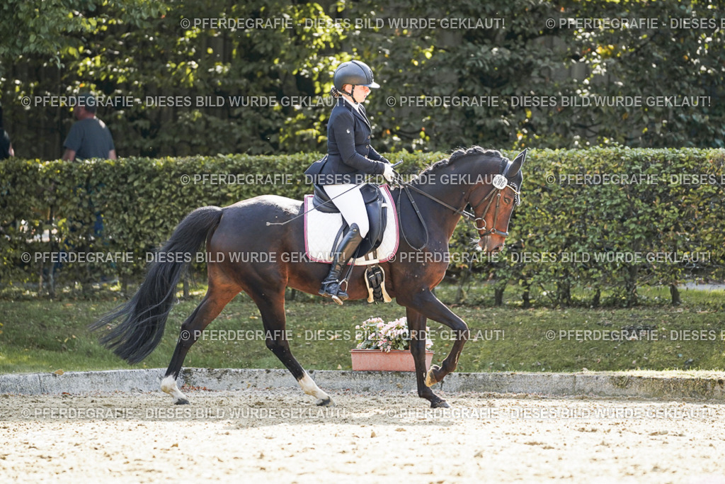 DSC07096 | Pferdegrafie