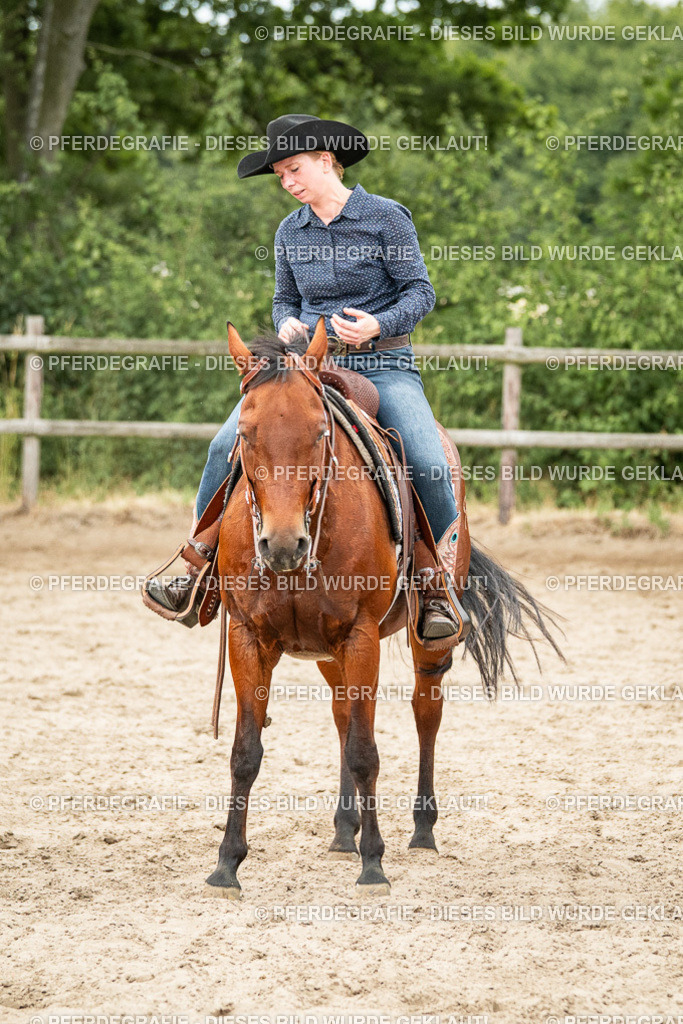 DSC04556 | Pferdegrafie