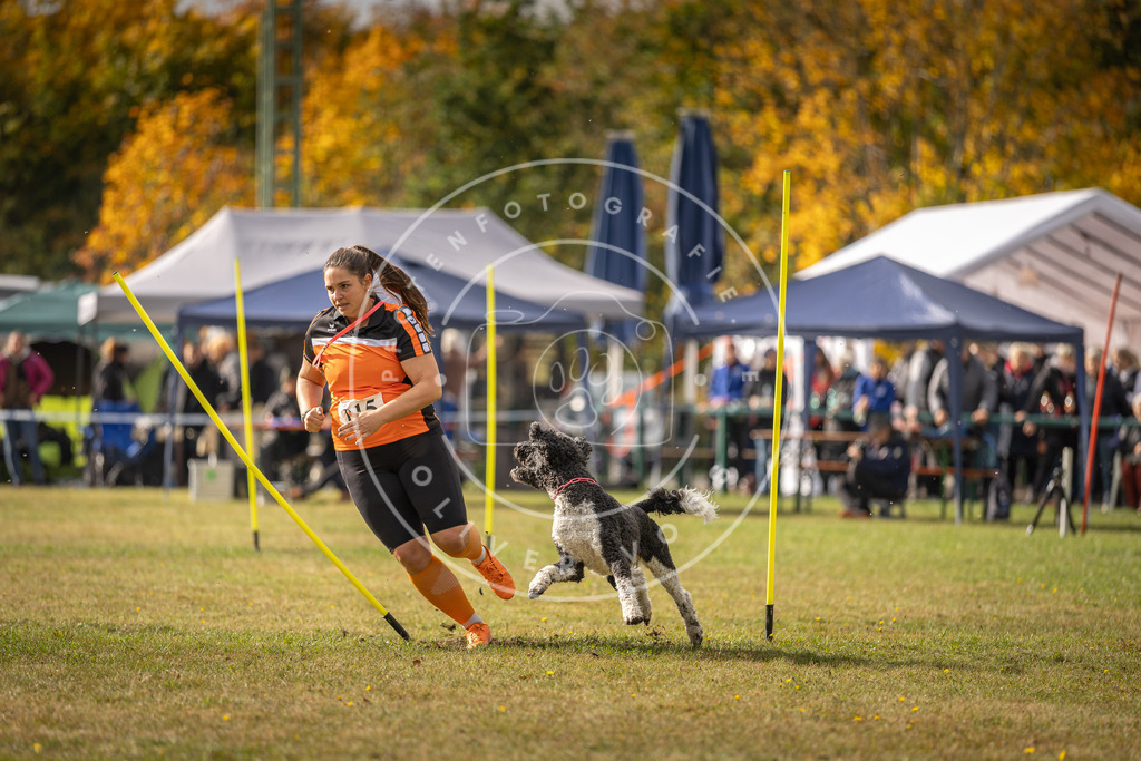 Pfotenfotografie_DV3A7033 | Hundefotografie, Tierfotograf, Pfotenfotografie, Fotoshooting Hund, Hunde Portrait, Hundesport, Hundeportraits, Heideshooting, Hunde, Sportfotograf, Hundefotograf, Turnierhundsport, THS,  - Realisiert mit Pictrs.com