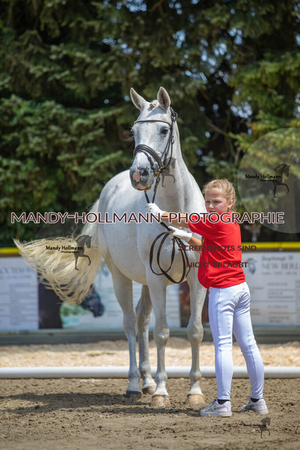 IMG_2971 | mandyhollmannphotographie