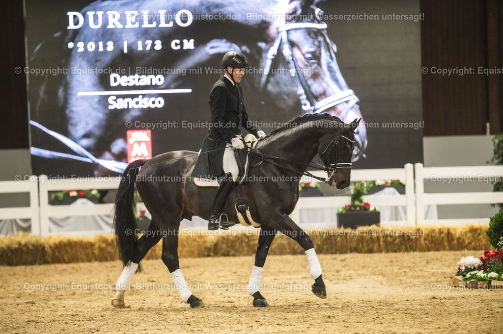 20240302_Hengstvorstellung_Marbach_TOMsPiC_1464 | equistock