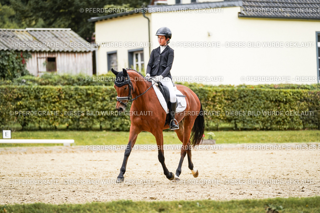 DSC07971 | Pferdegrafie