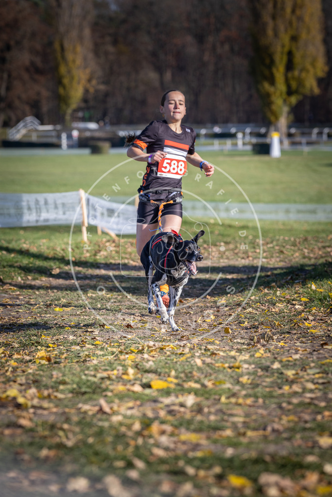 CaniXpix_DV3A9196 | Hundefotografie, Tierfotograf, Pfotenfotografie, Fotoshooting Hund, Hunde Portrait, Hundesport, Hundeportraits, Heideshooting, Hunde, Sportfotograf, Hundefotograf, Turnierhundsport, THS,  - Realisiert mit Pictrs.com