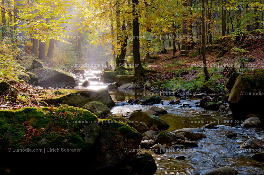 100491-2671 - Impressionen an der Ilse _ Harz | Stockfoto und Bilderpool mit Bildmaterial aus Deutschland, dem Harz, Halberstadt, Quedlinburg, Wernigerode und weltweit. Qualitativ hochwertige und professionelle Fotos anschauen und kaufen. - Realisiert mit Pictrs.com