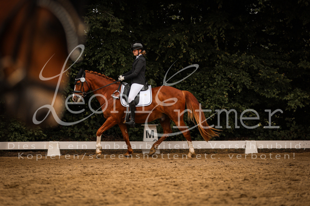 01.DoDrRWB00047 | Leoni Ertmer Photography - Realisiert mit Pictrs.com