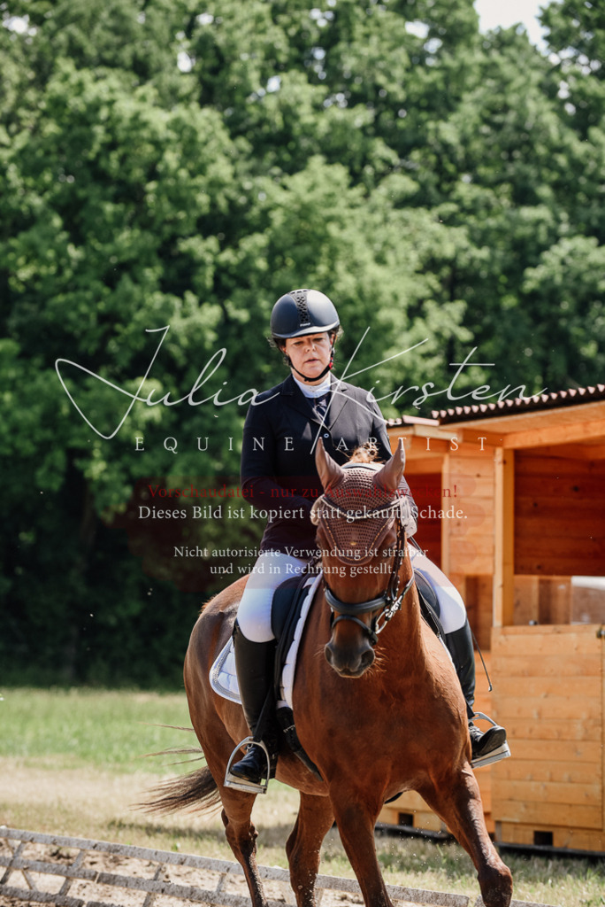 DSC_1277 | Pferde- und Turnierfotografie in Westsachsen. Pferdeportraits, Auftragszeichnungen und intuitive Kunst.