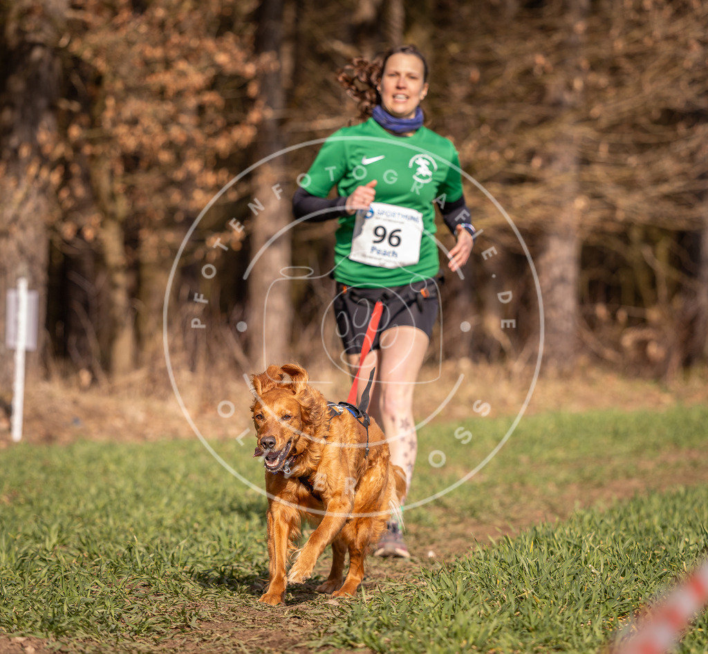 DV3A6283 | Hundefotografie, Tierfotograf, Pfotenfotografie, Fotoshooting Hund, Hunde Portrait, Hundesport, Hundeportraits, Heideshooting, Hunde, Sportfotograf, Hundefotograf, Turnierhundsport, THS,  - Realisiert mit Pictrs.com