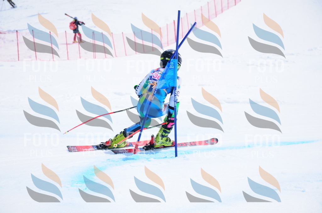 DSC_7301 | holidayphoto