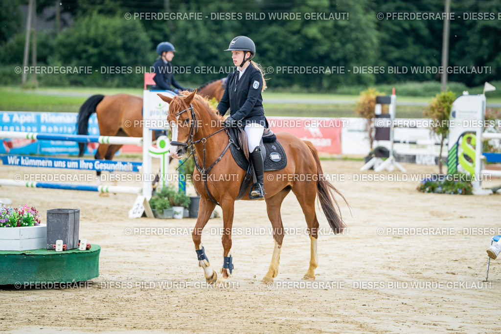 DSC03935 | Pferdegrafie