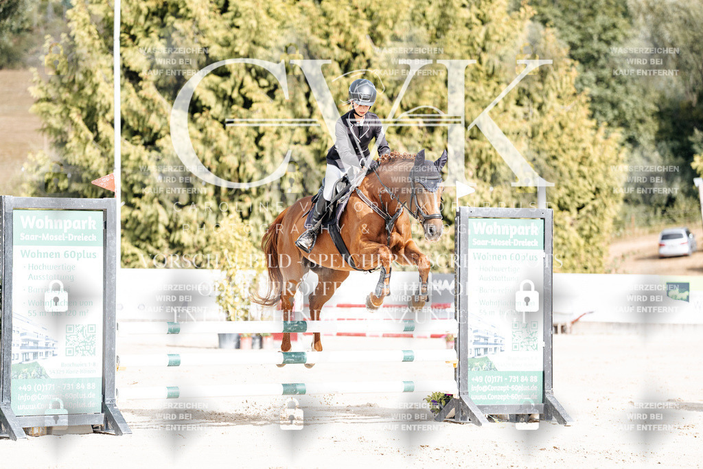 CK909018 | Turnierfotografie Pferdefotografie Trier Rheinland-Pfalz Pferdesport Reitsport Tierfotografie Sportfotografie Pferdevideo Pferdevideografie Equestrianvideography equestrianphotography  - Realisiert mit Pictrs.com