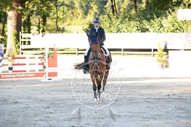 2B4A0867 | pixelfaenger - Realisiert mit Pictrs.com