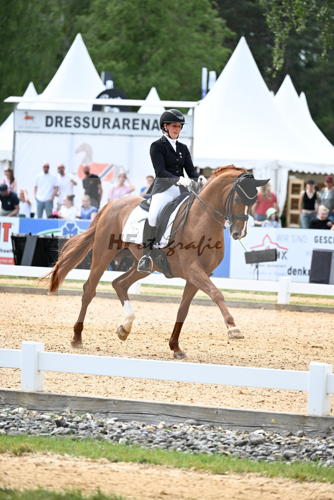 Grosserichter_Woodlander Wild Child_11257026 | hf-fotografie - Realizzato con Pictrs.com