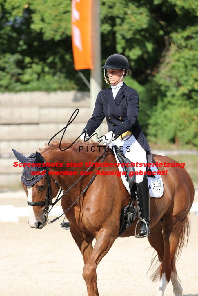 IMG_6471 | lmwpictures - Realisiert mit Pictrs.com