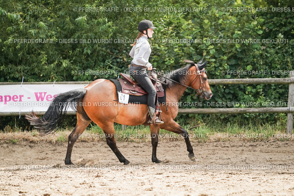 DSC04981 | Pferdegrafie