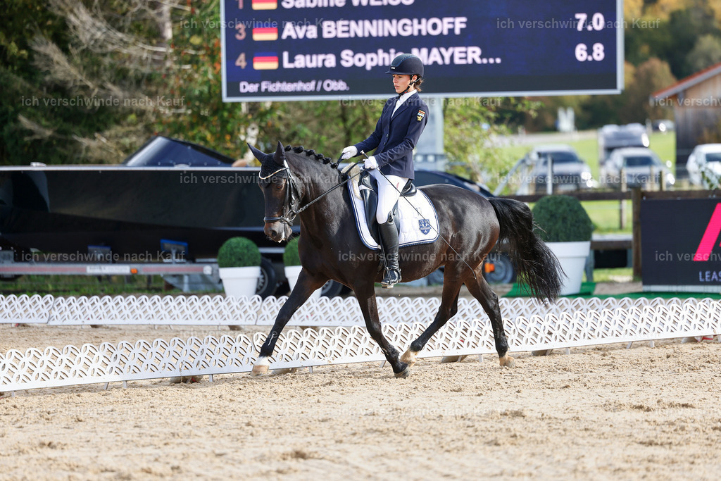 02-173-DRESSUR L_  -StoibPH-4746 | working equitationturnier fotograf videograf stoibphotography marixx film working equitation deutschland reitsport turnierfotografie eventfotografie equestrian events
