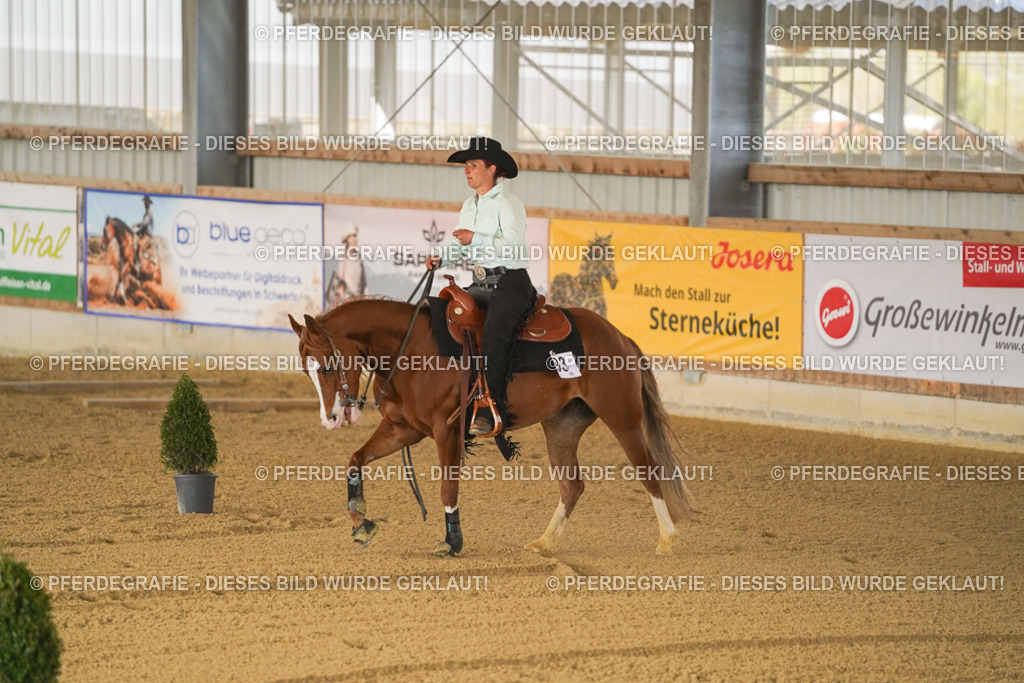 DSC03372 | Pferdegrafie