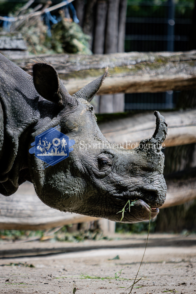 IMG_6041 | SportEventFotografie - Roman Stoiber