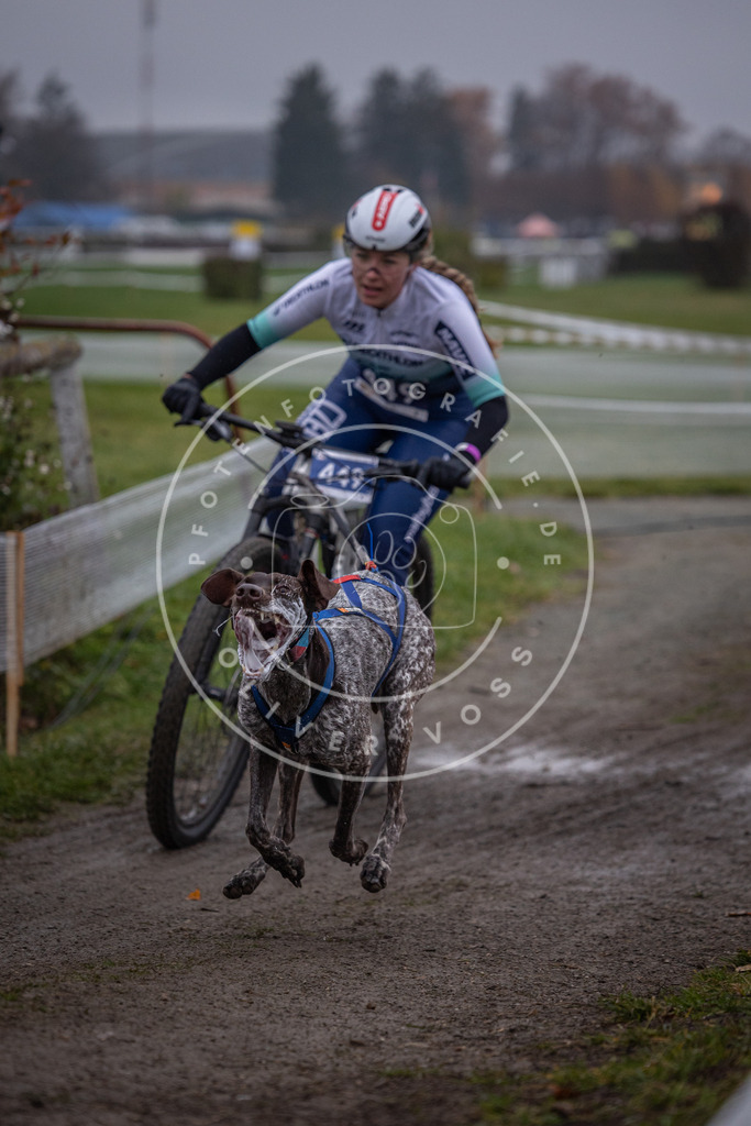 CaniXpix_0L8A1510 | Hundefotografie, Tierfotograf, Pfotenfotografie, Fotoshooting Hund, Hunde Portrait, Hundesport, Hundeportraits, Heideshooting, Hunde, Sportfotograf, Hundefotograf, Turnierhundsport, THS,  - Realisiert mit Pictrs.com