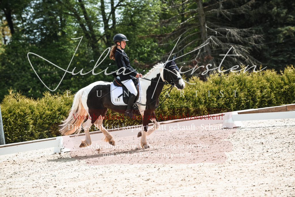 20230518_JK-Röhrsdorf-11-0288 | Pferde- und Turnierfotografie in Westsachsen. Pferdeportraits, Auftragszeichnungen und intuitive Kunst.