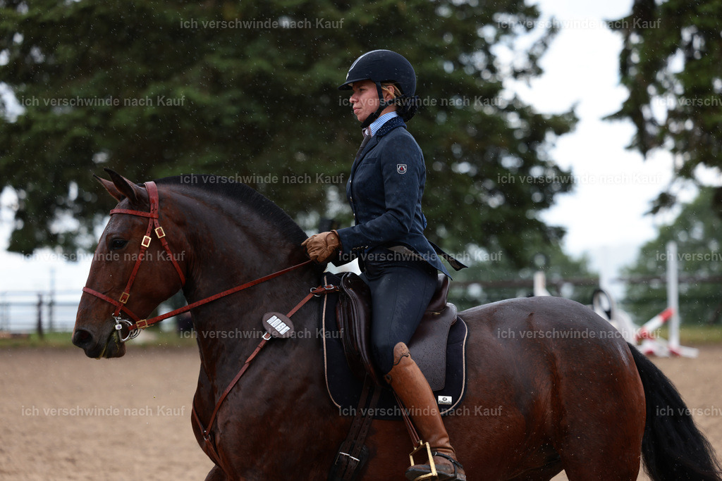 KlasseL_Stoibphotography_CAM23237.JPG | working equitationturnier fotograf videograf stoibphotography marixx film working equitation deutschland reitsport turnierfotografie eventfotografie equestrian events