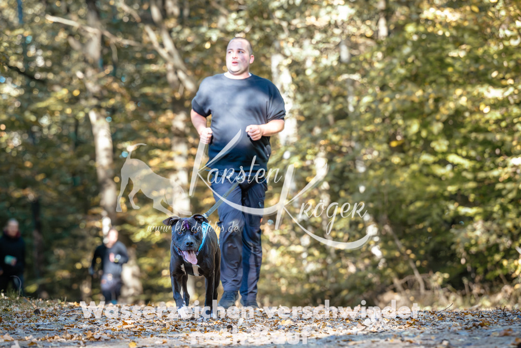 1122_ZZ92164 | kk-dogfotos