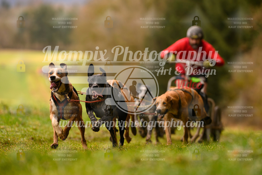 MompixPhotography_2SSTSSBW_2025_SO_Kart-4 | PayLife