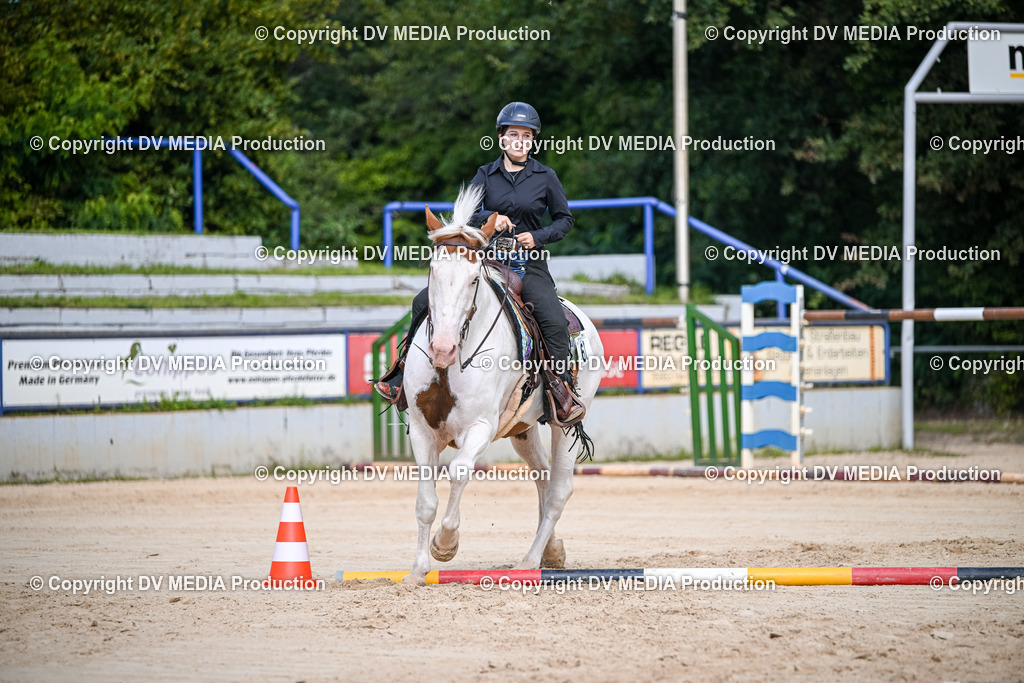 ZS2_3542 | dv-media-shop - Realisiert mit Pictrs.com