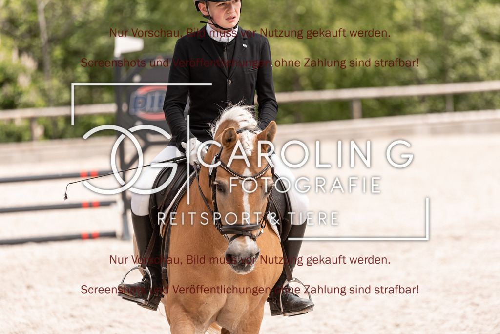DSC_0547 | Turnierfotografin Carolin Gieschke, Turnierfotografie Carolin G Fotografie, Turnierfotos Kirchheim/Teck, Esslingen, Stuttgart, Bodenseekreis
