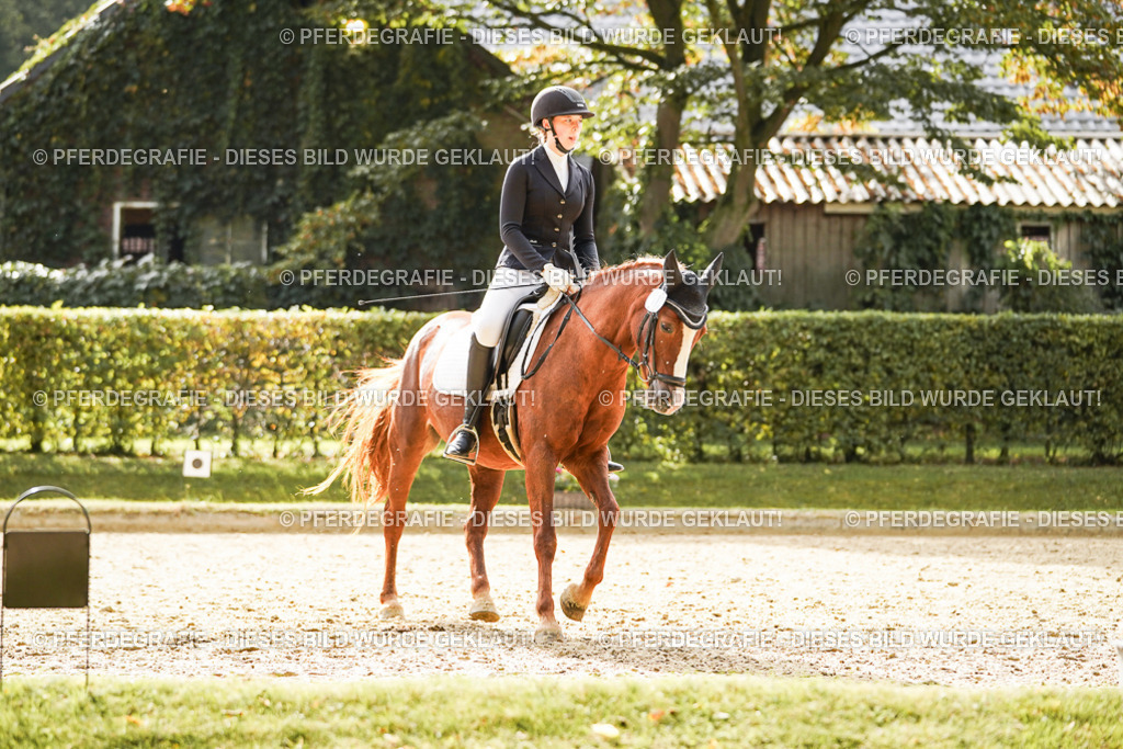 DSC00769 | Pferdegrafie