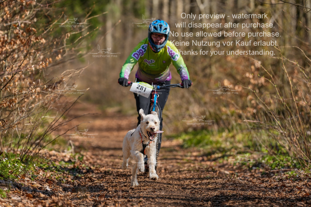 Scooter_kurz_So-13 | stephaniefillaphotographie - Realisiert mit Pictrs.com