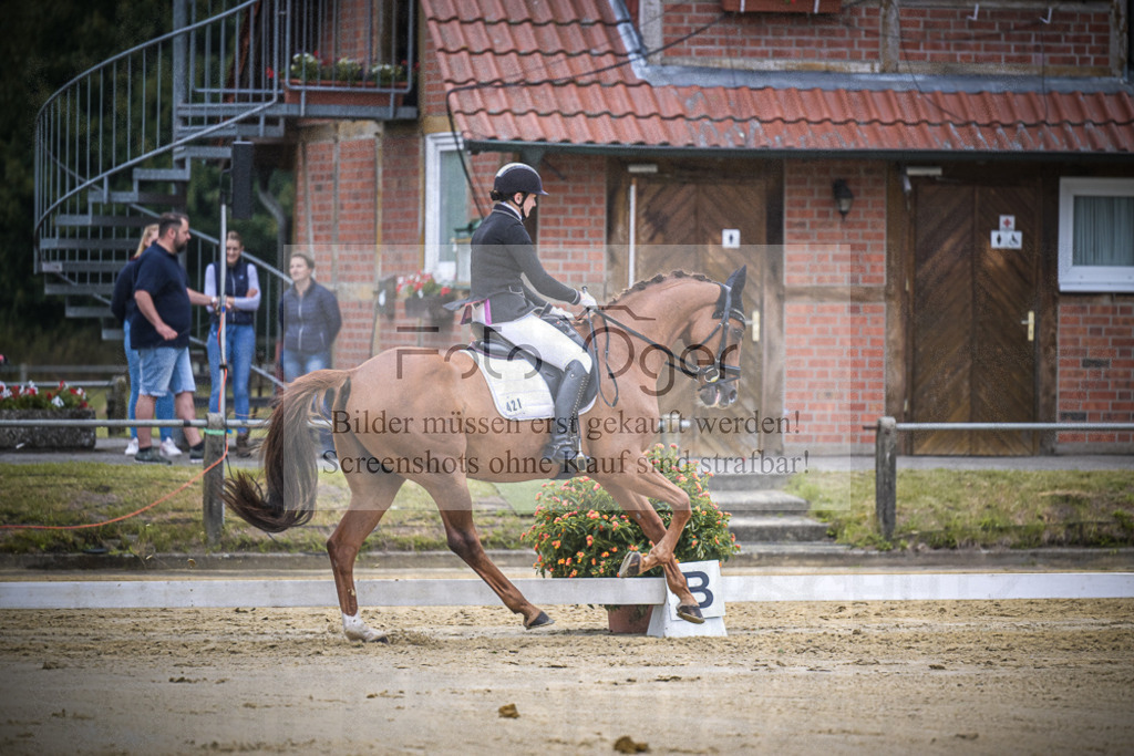 DOS_1807 | Entdecke hochwertige Reitturnierfotos von Foto Oger. Professionell, emotional und authentisch – jetzt Lieblingsmomente im Shop bestellen.Deutschlandweite Turnierfotografie. - Realisiert mit Pictrs.com