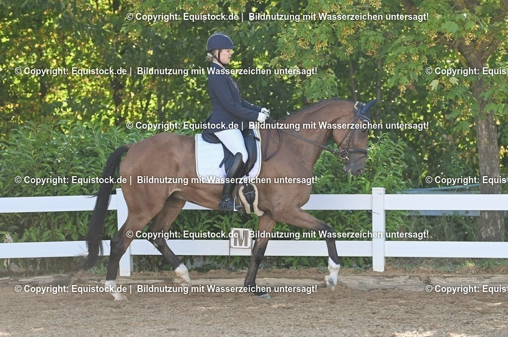 20230715_06_Dressurpferdeprfg. Kl.A_0194 | equistock